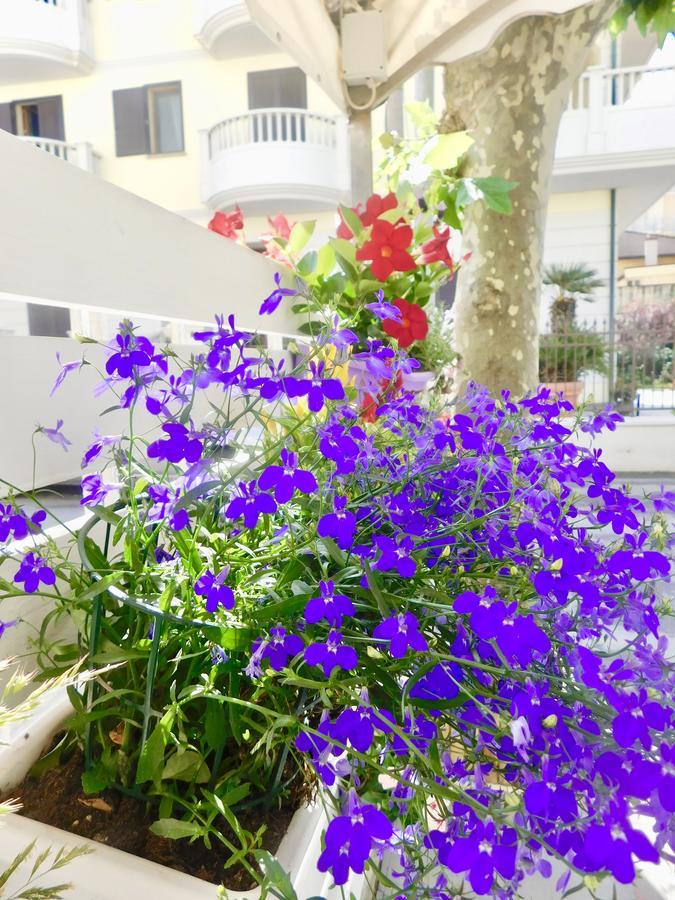 Hotel Dolores Rimini Dış mekan fotoğraf