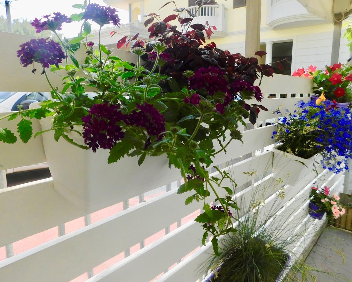 Hotel Dolores Rimini Dış mekan fotoğraf